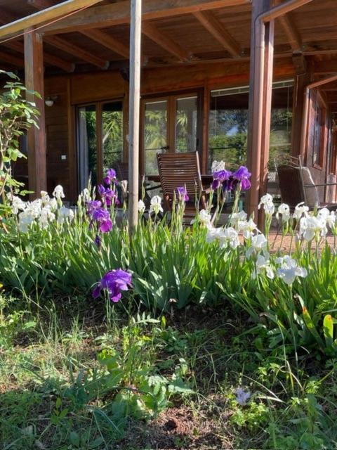 Chalet Mimosa Itri Zewnętrze zdjęcie