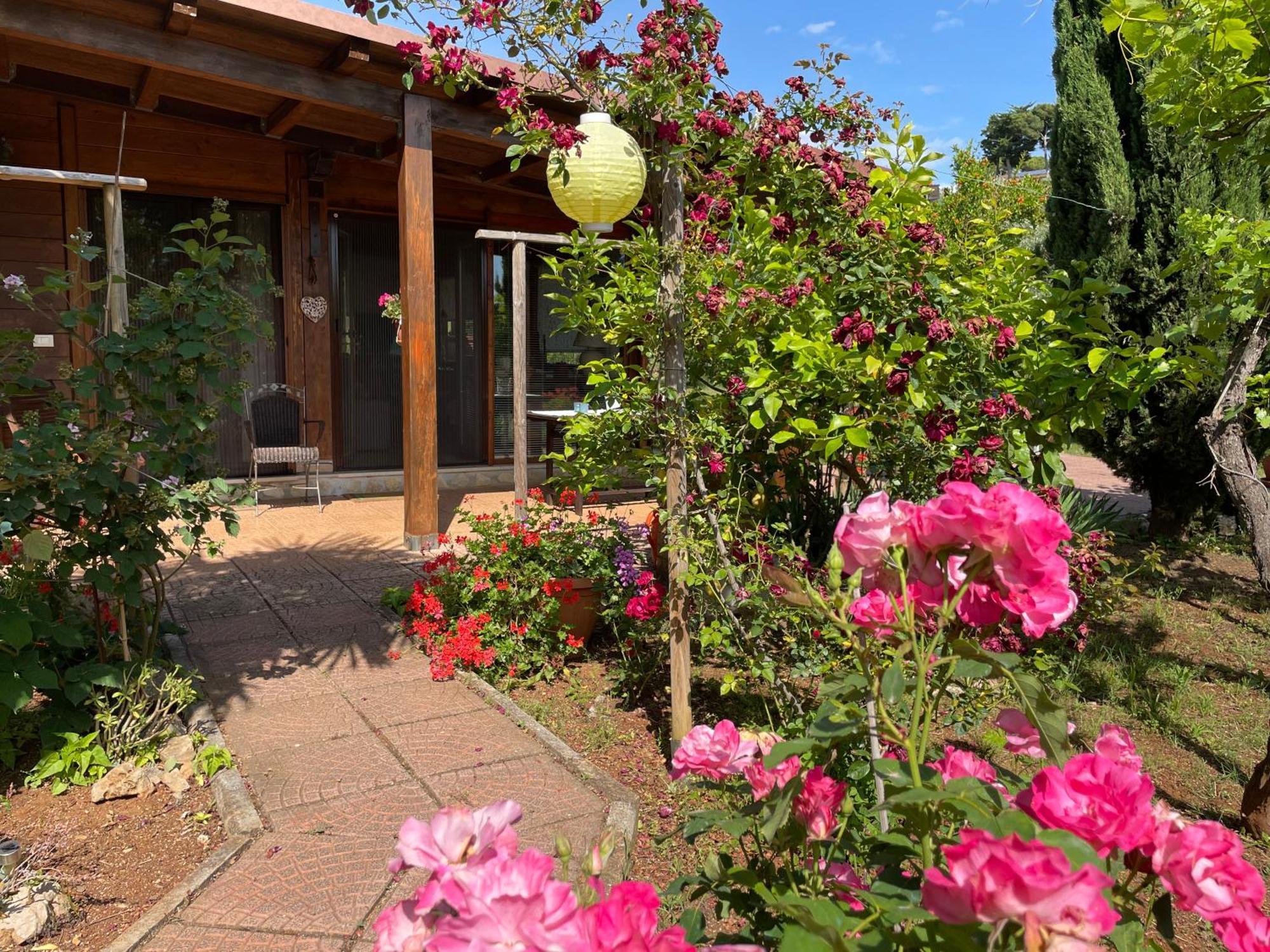 Chalet Mimosa Itri Zewnętrze zdjęcie